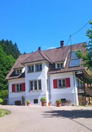 Image of Comfortable home between the stream and the edge of the forest