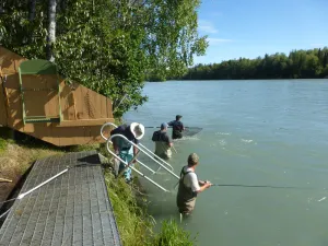 Image of Right on the Kenai River! Comfortable condo great for fishing or sightseeing