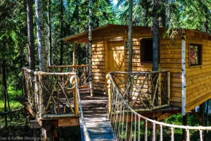 Image of Treehouse \"Indiana Jones\"