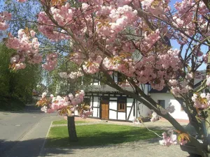 Image of Holiday house Beltheim for 1 - 8 persons with 4 bedrooms - Holiday house