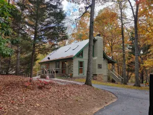 Image of Cozy Cabin on 4 acres of fun! Pavilion, Firepit, Swing, Walking trail to creek!