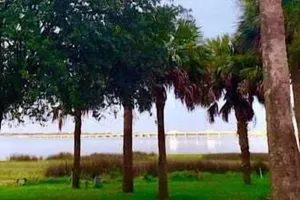 Image of 82 Palms - Waterfront Home & Rooftop Sun Deck