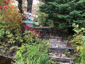 Image of very private,adorable rustic cabin -out house , & full shower house on property