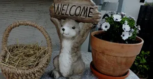 Image of DIE Ferienwohnung Wittenberg on the Elbe meadows in the district of Pratau