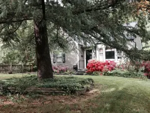 Image of Rugby Hills-Walk  to University Rotunda\/Downtown