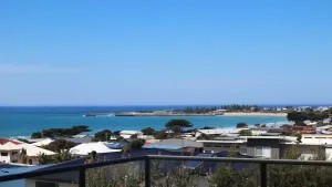 Image of The Lookout