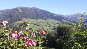 Image of Haus Schmetterling mit Private Spa