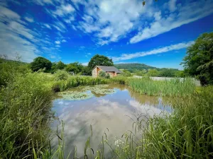 Image of Blackdown Views - New 6 Bedroom Eco House