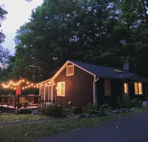 Image of Cozy & Chic Cabin by the Lake, with access to private Beach!