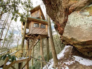 Image of Observatory Treehouse | 2 Bed, 0.5 Bath