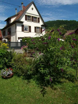 Image of AU SCHNEIGET large detached house.