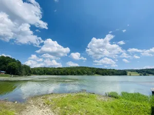 Image of Lakeside Tiny Cozy Retreat