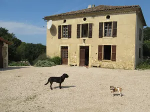Image of Spacious and Well Equipped Farmhouse With Private Pool Set In 45 Acres