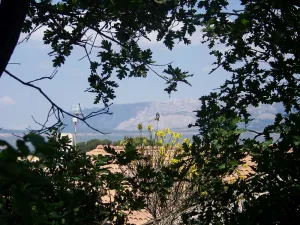 Image of In the village of Provence, 2 rustic dwellings in enclosed arbo