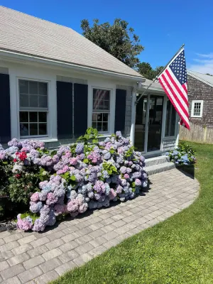 Image of Frank's Cozy Cape Cod Beach Cottage