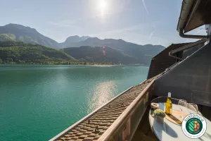 Image of LES LIBELLULES - LOFT surplombant le lac