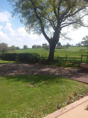 Image of Artists' cottage