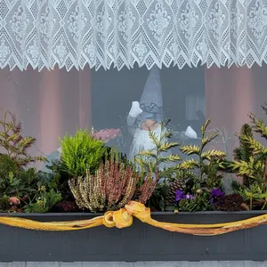 Image of Kronenburg, Monschau,thierry neuville,Spa Francorchamps,