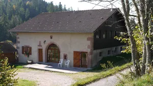 Image of GITE ideal for family holidays from 4 to 13 people at Le Tholy