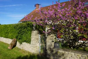 Image of Villa La Bazonnerie, quietly located holiday home with private swimming pool