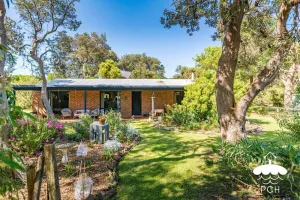 Image of Wattle Haven Summary: