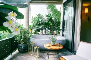 Image of Rambutan Resort – Siem Reap