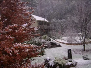 Image of Shadybrook Alpine Apartment and garden