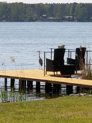 Image of Cottage with terrace directly on the Krüpelsee