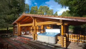 Image of Beaver Creek Lodge