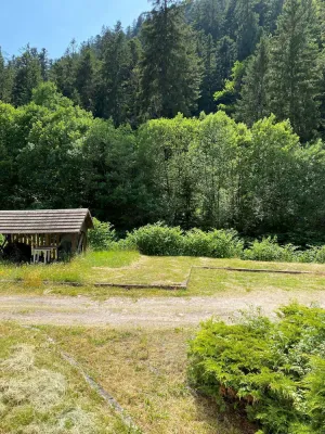 Image of Charming 55m near hiking trails