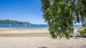 Image of On the Beach, Horseshoe Bay