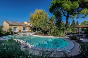 Image of Villa with Plage® pool, and large shaded garden in Provence and Luberon.