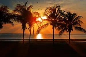 Image of BEACHFRONT VENICE ISLAND CONDO: OLYMPIC POOL,  FREE Wi-Fi,- DISCOUNTED LOW RATES
