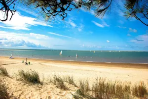 Image of New House quality delivery near beach wild coast and big coast