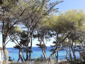 Image of Seaview and Seaside Apartment on the ground floor of a detached Villa