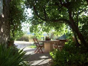 Image of Charming rental in Luberon 'Sous le Figuier'
