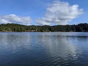 Image of 4 bedroom, 2 bath 1600 square foot Munsel  lakefront home with dock