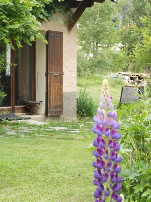 Image of Ground Floor Apartment In Individual House