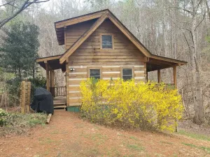 Image of Porch Swing, Jacuzzi Tub, Wi-Fi, Dogs ok, near NP