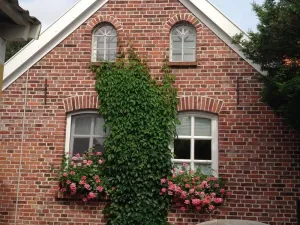 Image of Klaassen- Ferienhaus Up Warf