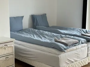 Image of Experience Herning from our central bel apartment