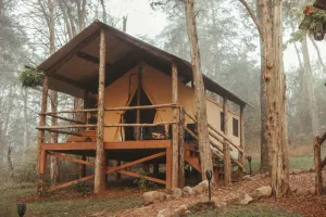 Image of Safari Style Luxury Tents
