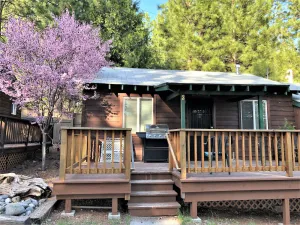 Image of Remodeled cozy 2-bedroom cabin, pet friendly, free boat launch & slip, lakeside
