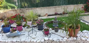 Image of Studio Le Lavandou
