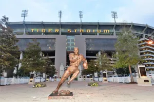 Image of Stylish Place in Popular Downtown Spot, Min to LSU