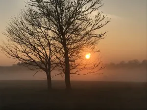 Image of Peaceful oasis north of Nashville