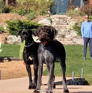 Image of Lakefront Lodge-65 Acres-Private Lake / Gourmet Kitchen / Game Room 5 of 5