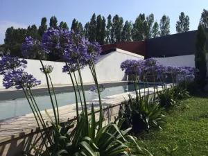 Image of Belle villa avec piscine, proche plage et centre de Saint-Jean-de-Luz - FR-1-239-718