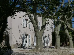 Image of The charm of a Provencal country house