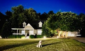 Image of CountySide Cozy House (3 min from Hwy 72)